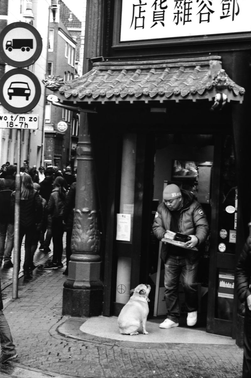 amsterdam-nederland-2017